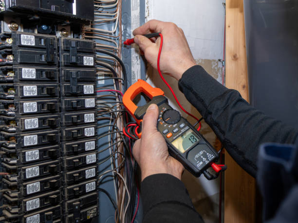 Best Home Electrical Repair  in Mount Vernon, IA